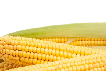 Fresh corn