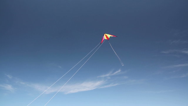 Motley kite flying in blue sky