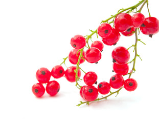 red currants