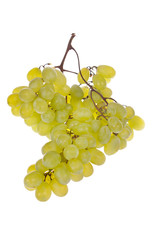 white grapes