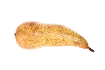 pear long