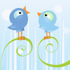 Two loving blue birds sitting on the branch