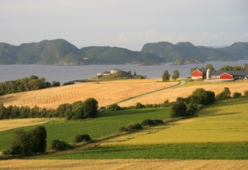 Fototapeta na wymiar Norwegian farmland by a fjord
