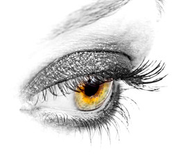 Obraz premium Close-up black eye
