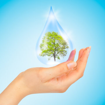 The symbol of Save Green Planet