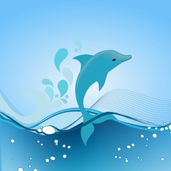 Cute dolphin