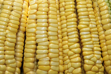 Maize cob