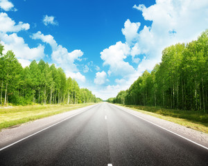 Fototapeta premium road in forest