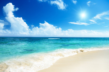 Fototapeta na wymiar Plaża na wyspie Dominikana Catalina