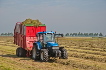 Collecting grass with the tractor and a silage wagon