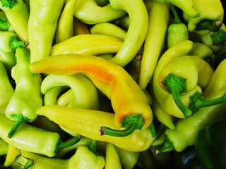 Healthy natural green organic pepper.