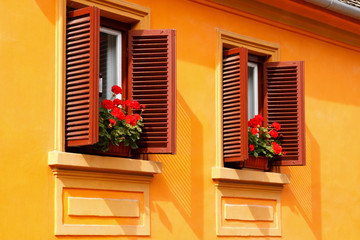 Red Flowers on Windowsills