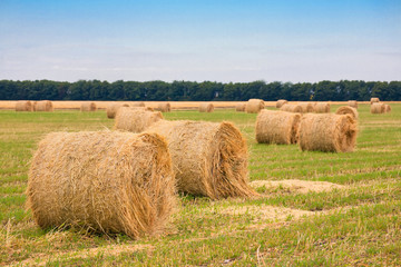 field with straw bale