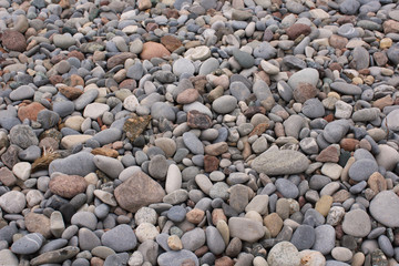 Hintergrund: Steine, ovale Steine