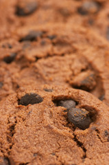 Cookies close-up