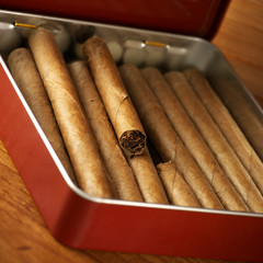 Cigars in box