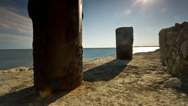 Branches_under_the_sky