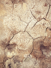 Fototapeta premium Old wall textured background