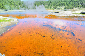 Firehole Lake View