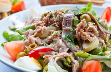 Fresh salmon salad