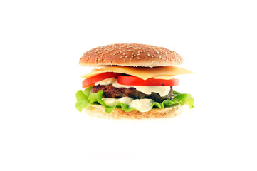 hamburger with cutlet