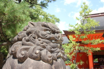 Fototapete bei efototapeten.de bestellen   