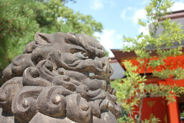 Fototapete bei efototapeten.de bestellen   