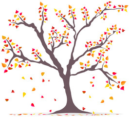 fashionable illustration: tree with falling leaves, autumn, conc