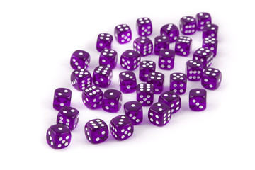 Purple dice on white background