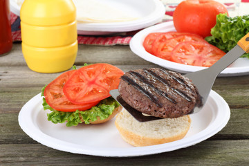 Grilled Hamburger Picnic