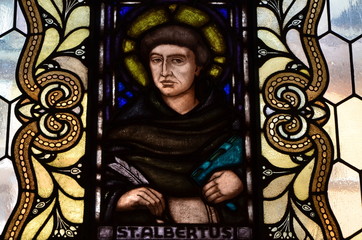 Saint Albert