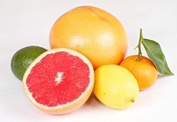 Fresh juicy grapefruits