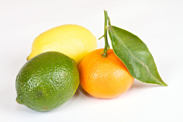 Fresh juicy grapefruits