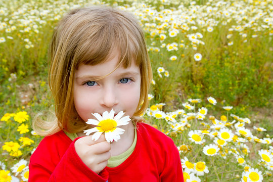 blond little girl smeling daisy spring flower meadow