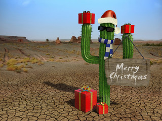 Christmas cactus - 34319974