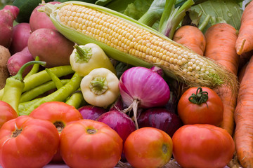 Fruits of the garden