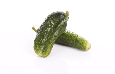 Cucumber