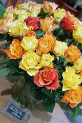 bouquet de roses colorées - rosaceae