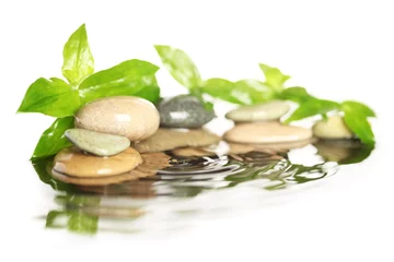 Plexiglas schilderij Toilet Stones in water  © Leigh Prather