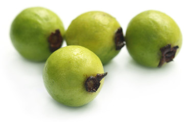 Guava