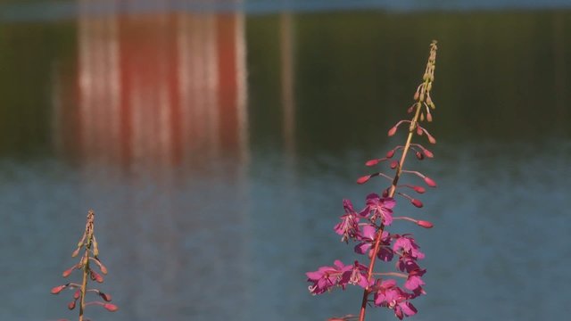 haus am see