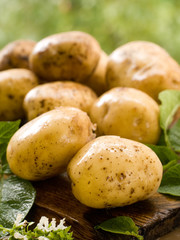 potatoes