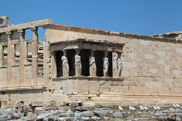 Fototapeta premium The Erechtheum at the Acropolis, Athens - Greece