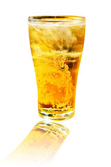 Glass of beer isolate on white background