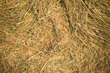 background of straw