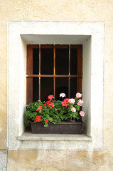Fototapeta na wymiar Old Window, Slovenia