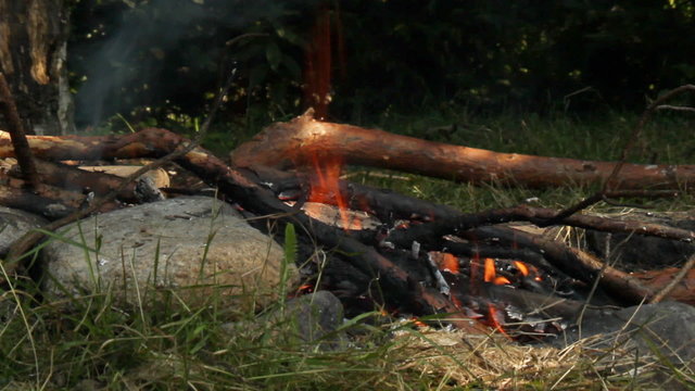 Ognisko