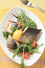 Salmon trout fillets and salad greens