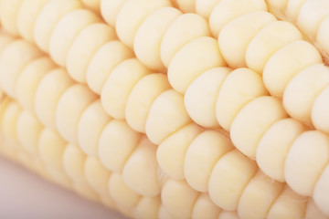 Corn
