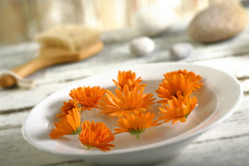 Soucis-Plante médicinale